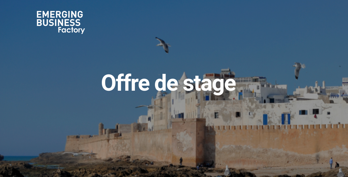 EBF recherche un stagiaire à Essaouira, sur le thème Digital Nomads